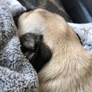 Meet your Posher, Lindsay